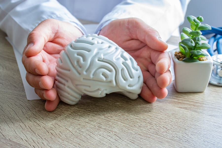 A doctor holding a model of the human brain on his desk.
