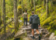 A man struggling with addiction hiking with a loved one.